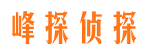 益阳市侦探公司